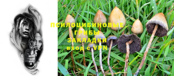 герыч Бородино